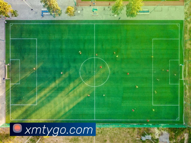 熊猫体育发展历程